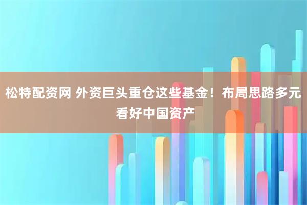 松特配资网 外资巨头重仓这些基金！布局思路多元 看好中国资产