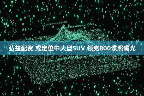 弘益配资 或定位中大型SUV 领克800谍照曝光