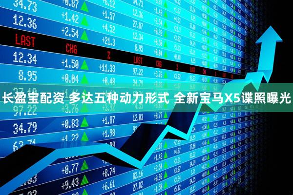 长盈宝配资 多达五种动力形式 全新宝马X5谍照曝光