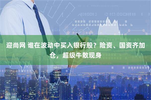 迎尚网 谁在波动中买入银行股？险资、国资齐加仓，超级牛散现身